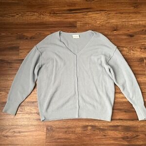 Wilfred Free Soft Knit V-Neck Sweater Light Blue Minimalist Cozy Pullover Medium